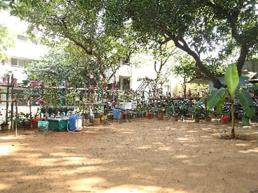 Fathima School Gallery