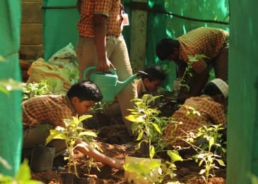 Fathima School Gallery